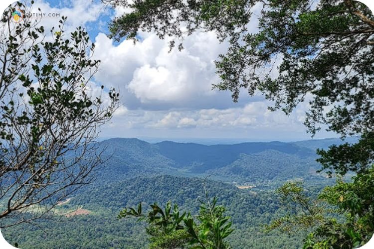 Imej Gunung Panti