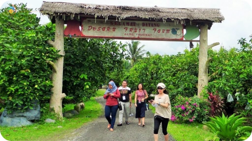 Imej Kebun Buah Desaru