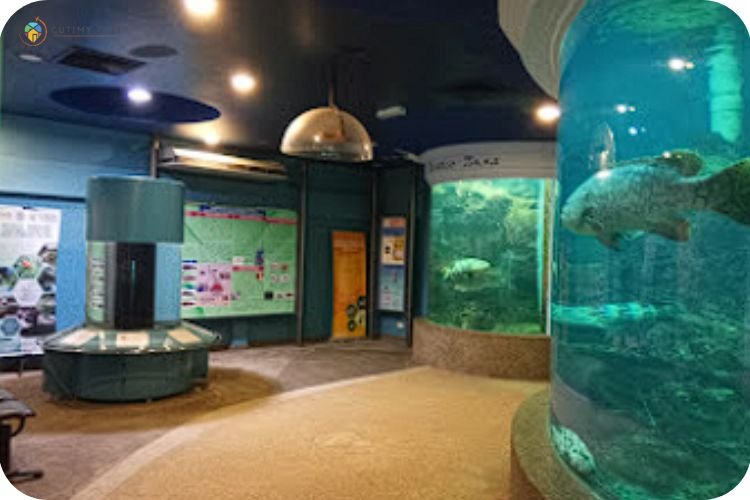 Imej Aquarium & Marine Museum