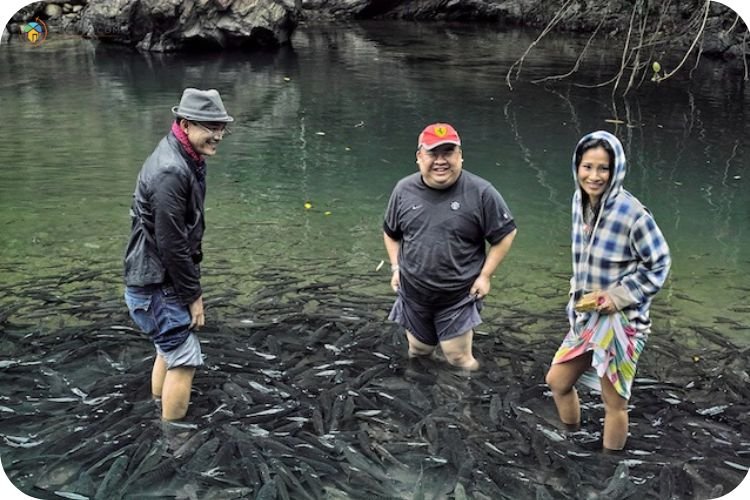 Imej Sungai Moroli Tagal Luanti Fish Massage