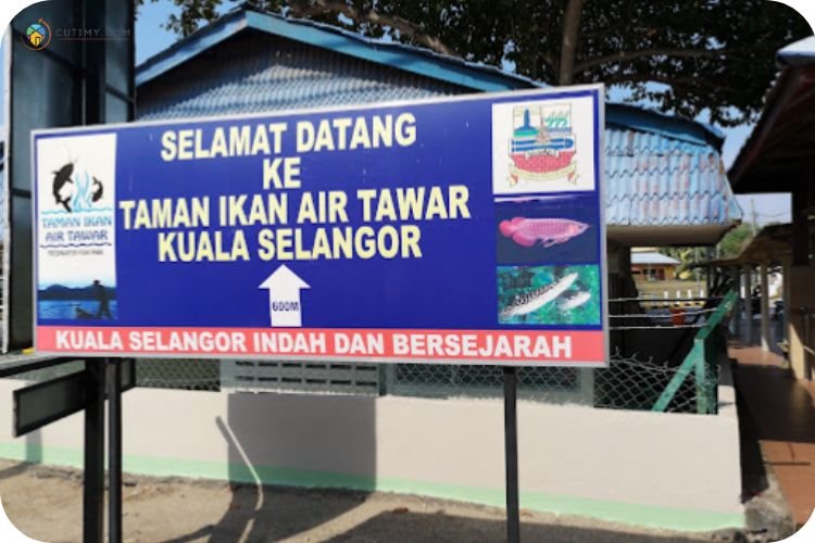 Imej Taman Ikan Air Tawar