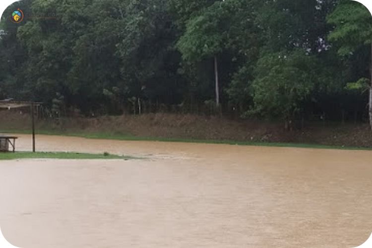 Imej Kolam Kita Kita Juga Baini