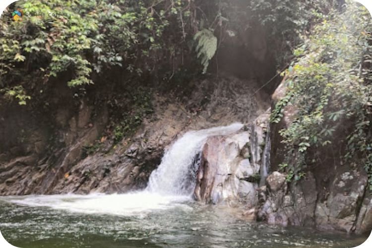 Imej Lata Makau Kuala Kubu Baru