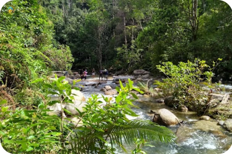 Imej Santuari Ikan Kelah, Sungai Chiling