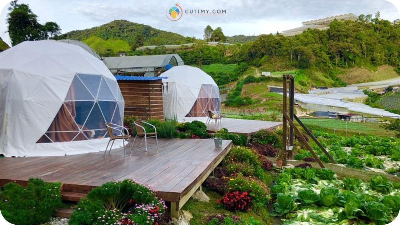 Imej Tempat Camping di Cameron Highland A’moss Farmstay