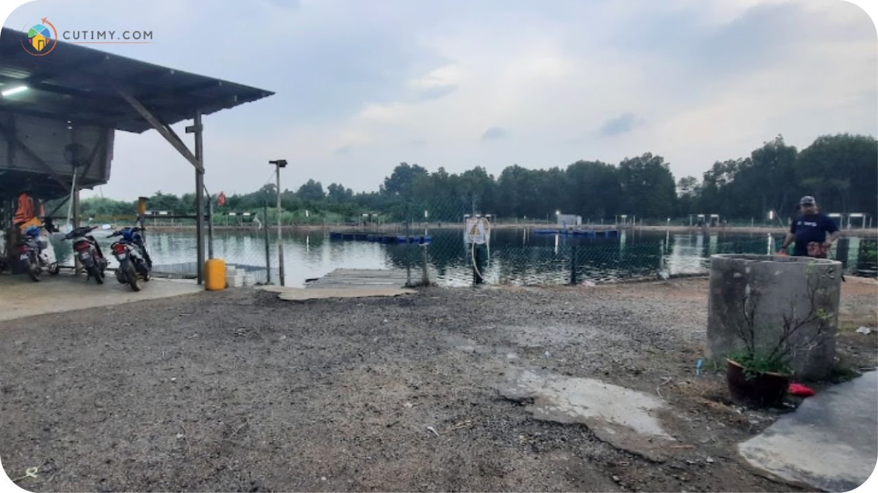 Imej Tempat Memancing Di Port Dickson Best PD Fishing