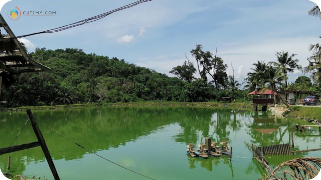 Imej Tempat Memancing di Negeri Sembilan Kolam Pancing Awai Kampung Gebok