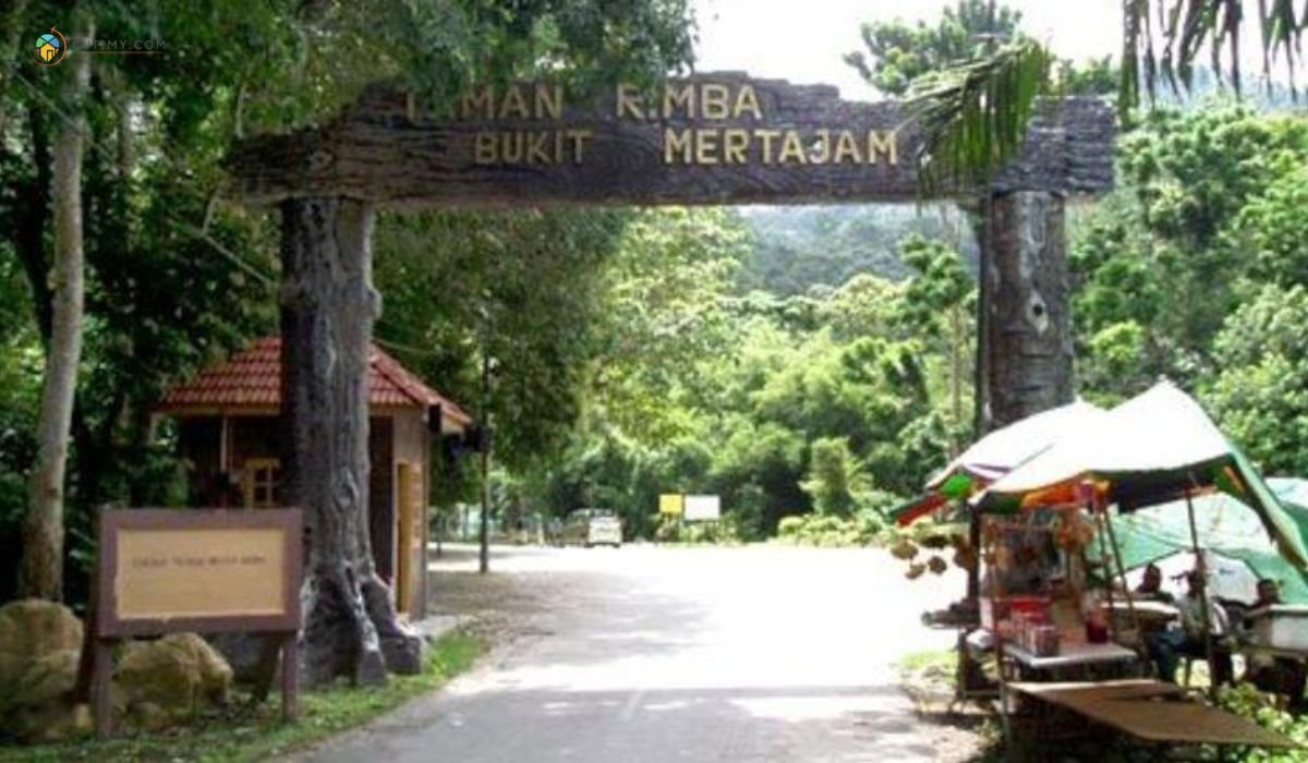 imej Bukit Mertajam Recreational Forest_ Membenamkan Diri dalam Alam Semulajadi