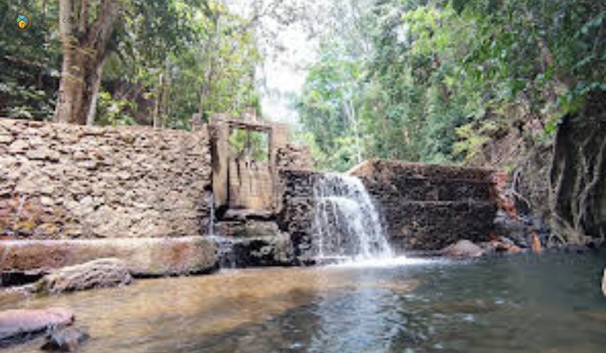 imej Hutan Lipur Bukit Wang