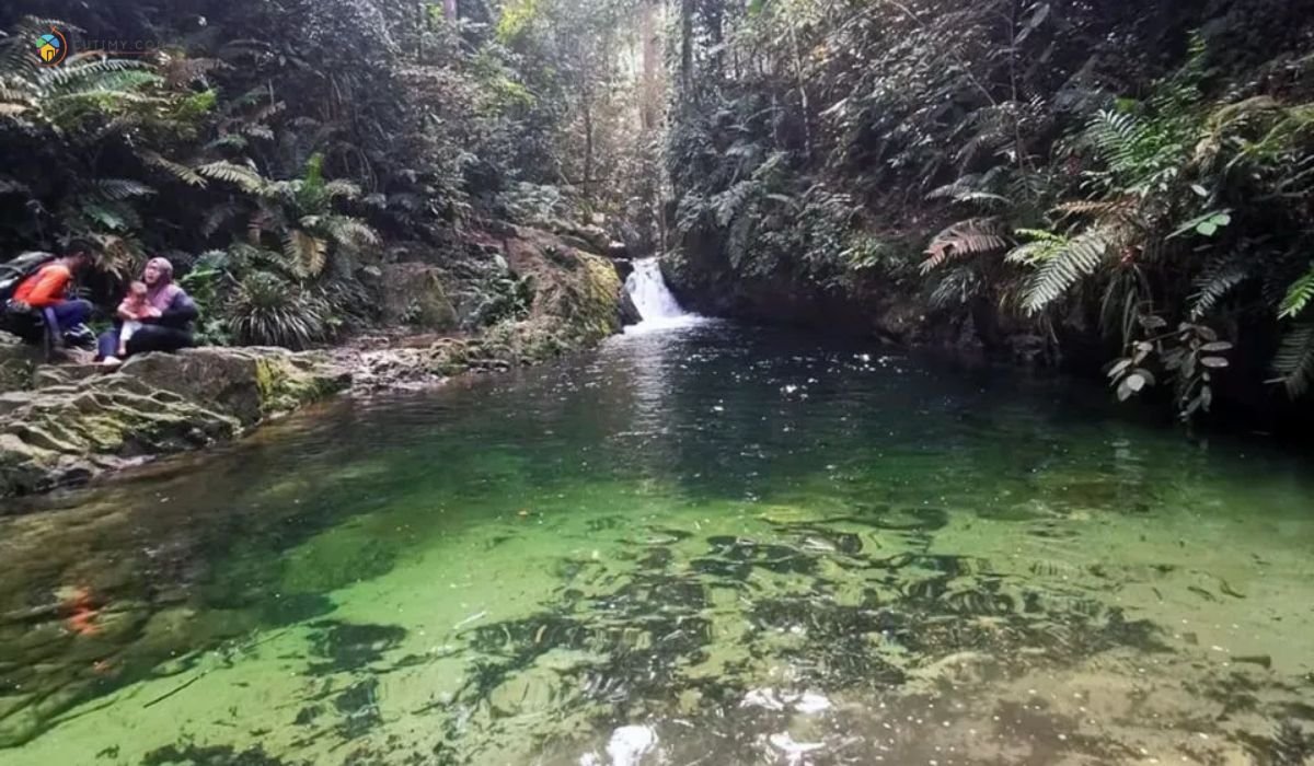 imej Hutan Simpan Ayer Hitam