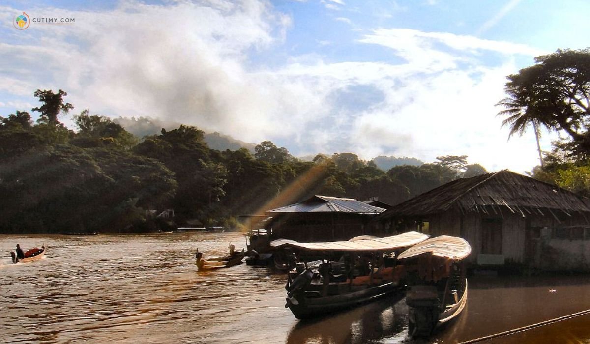 imej Jeti Taman Negara (Kuala Tahan)