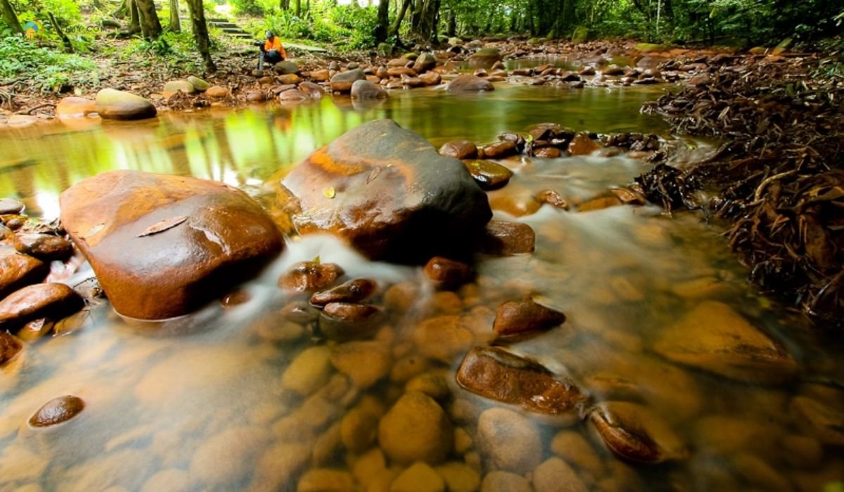 imej Sungai Pangsun