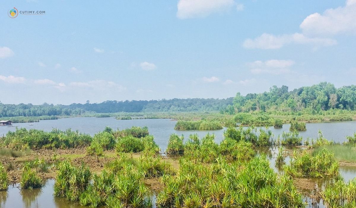 imej Tasik Bera