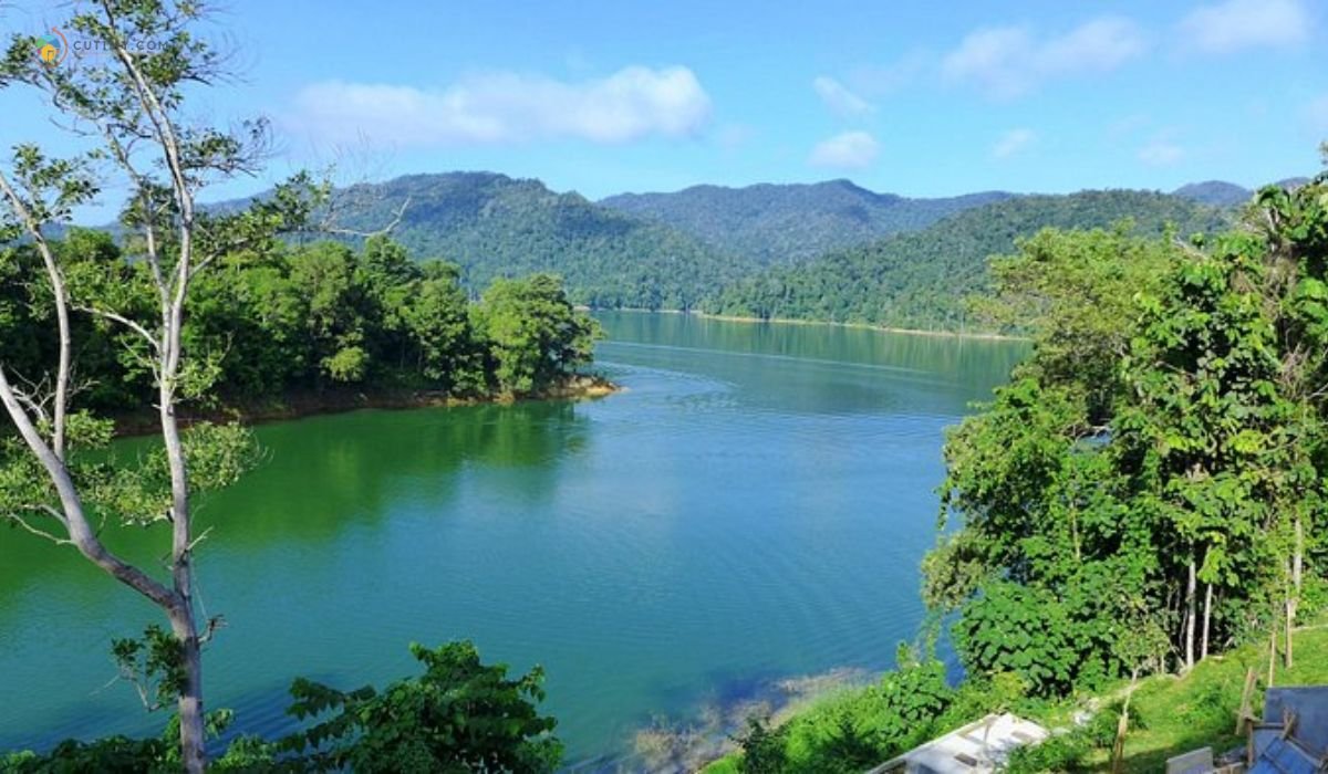 imej Tempat Menarik di Gerik Belum Rainforest