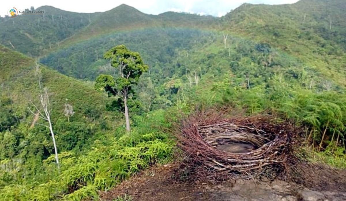 imej Tempat Menarik di Keningau Matanoi Hill