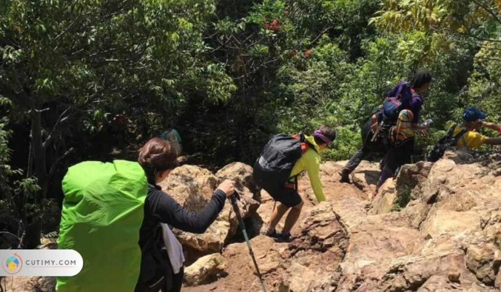 Imej Tempat Menarik di Puncak Alam Puncak Bukit Cherakah