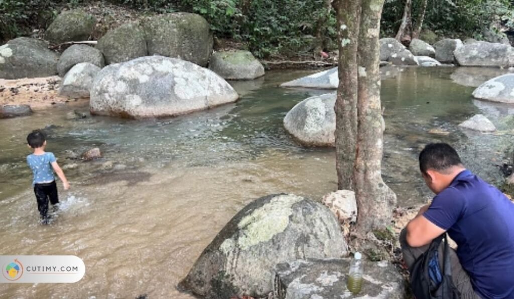 Imej Hutan Rekreasi Kg. Bintongan Tempat Menarik Di Rembau